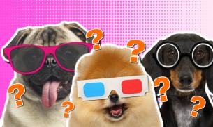 Dogs personality quiz