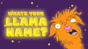 What's YOUR Llama Name?